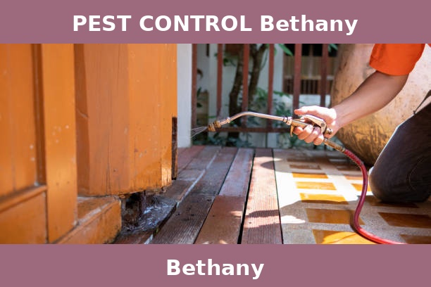 PEST CONTROL Bethany